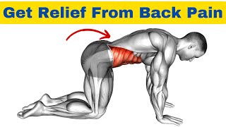 Back Pain Relief Exercises & Stretches (NO MORE PAIN!)