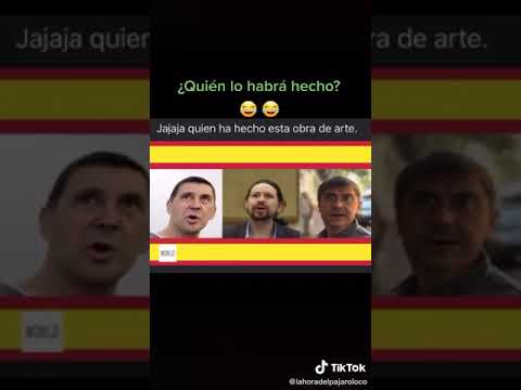 TikTok política