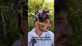 Kaptan 3.. 7 Adam Ve Adaya Düşen Ilk Pilot Tanesi .