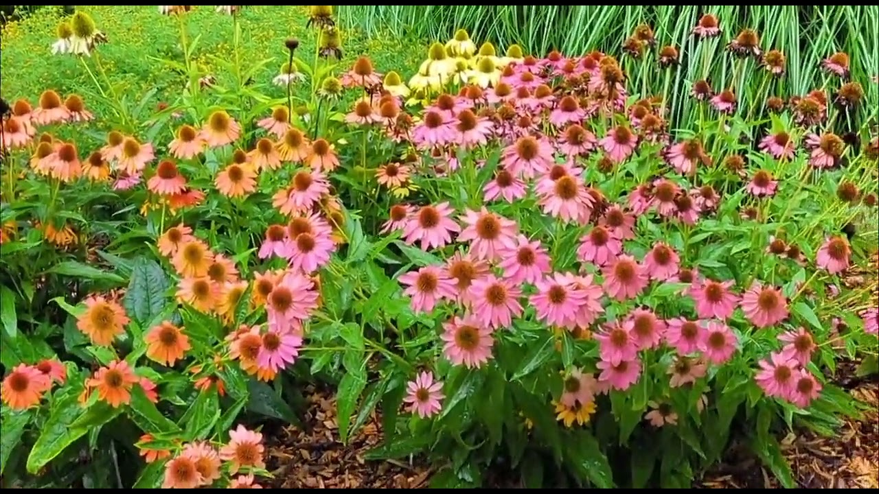 'Needed' Rain Leaves Bucolic Landscape in Wisconsin