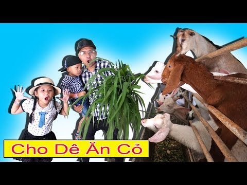 Video TRÒ CHƠI CON BÒ ĂN CỎ và CON DÊ UỐNG SỮA ♥ BÉ BÚN BÉ... - youtube