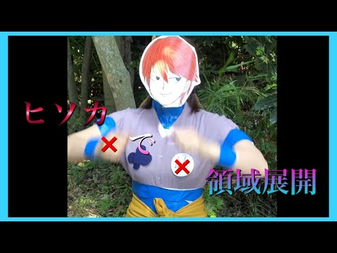 ヒソカ　領域展開