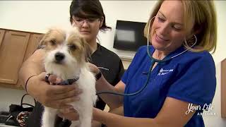 Exceptional Pets -- Mesa