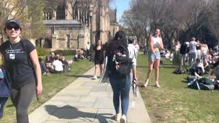 Yale University New Haven CT Tour
