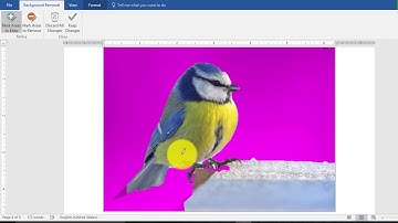 Microsoft word 2016 | Picture Editing | Full Course | Part 9 | Bangla Tutorial