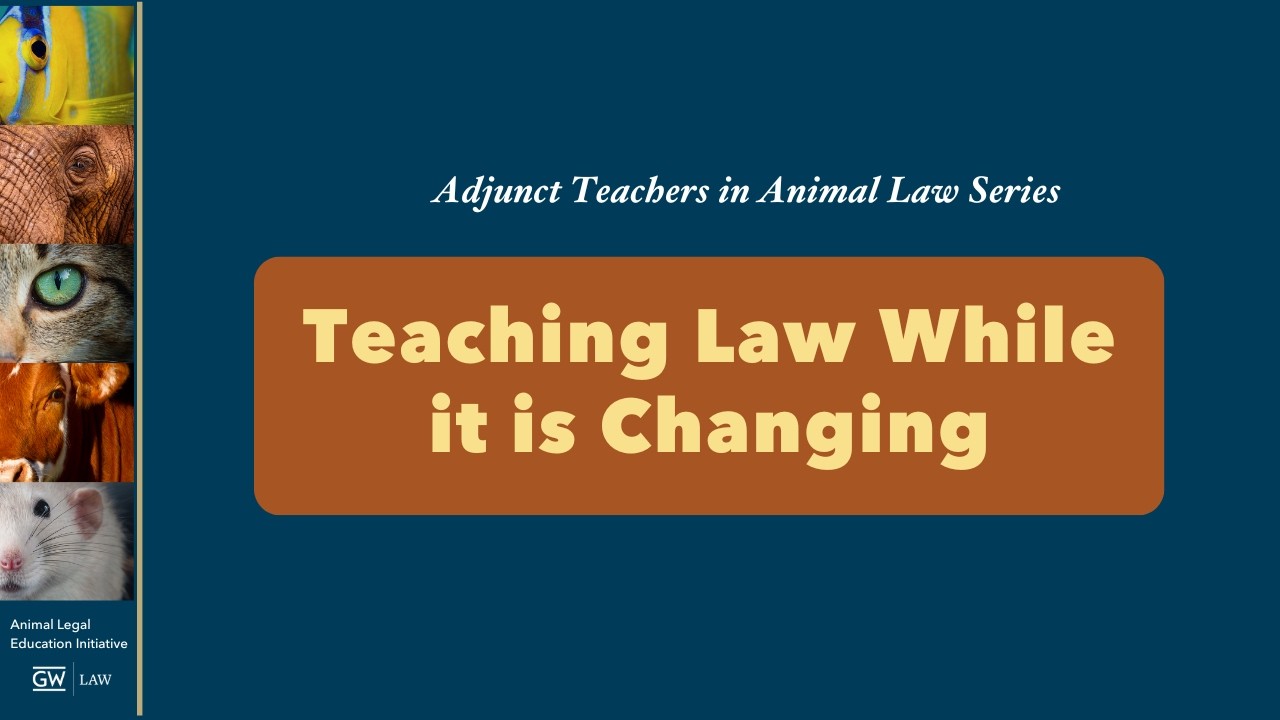 Teaching Law While it is Changing
