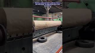 Industrial Process Log To Continuous Wood Veneer Sheet.
