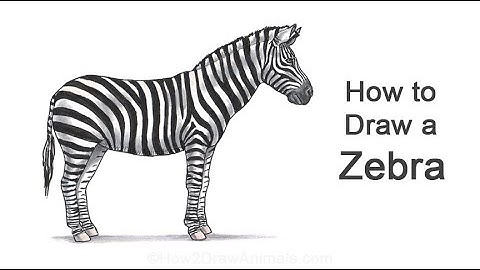 How to Draw a Zebra