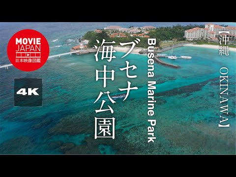 YouTube 動画のサムネイル