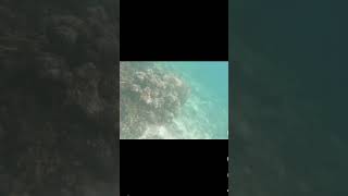 Swimming | no life jacket