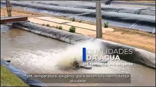 Projeto de irrigação leva crescimento da Produção de camarão na Bahia.