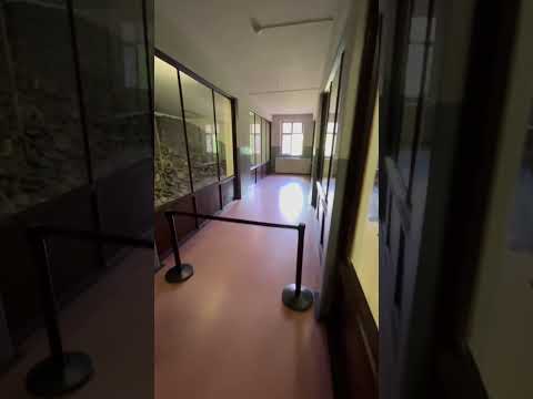 Video: Aušvico muziejus. Aušvico-Birkenau muziejus