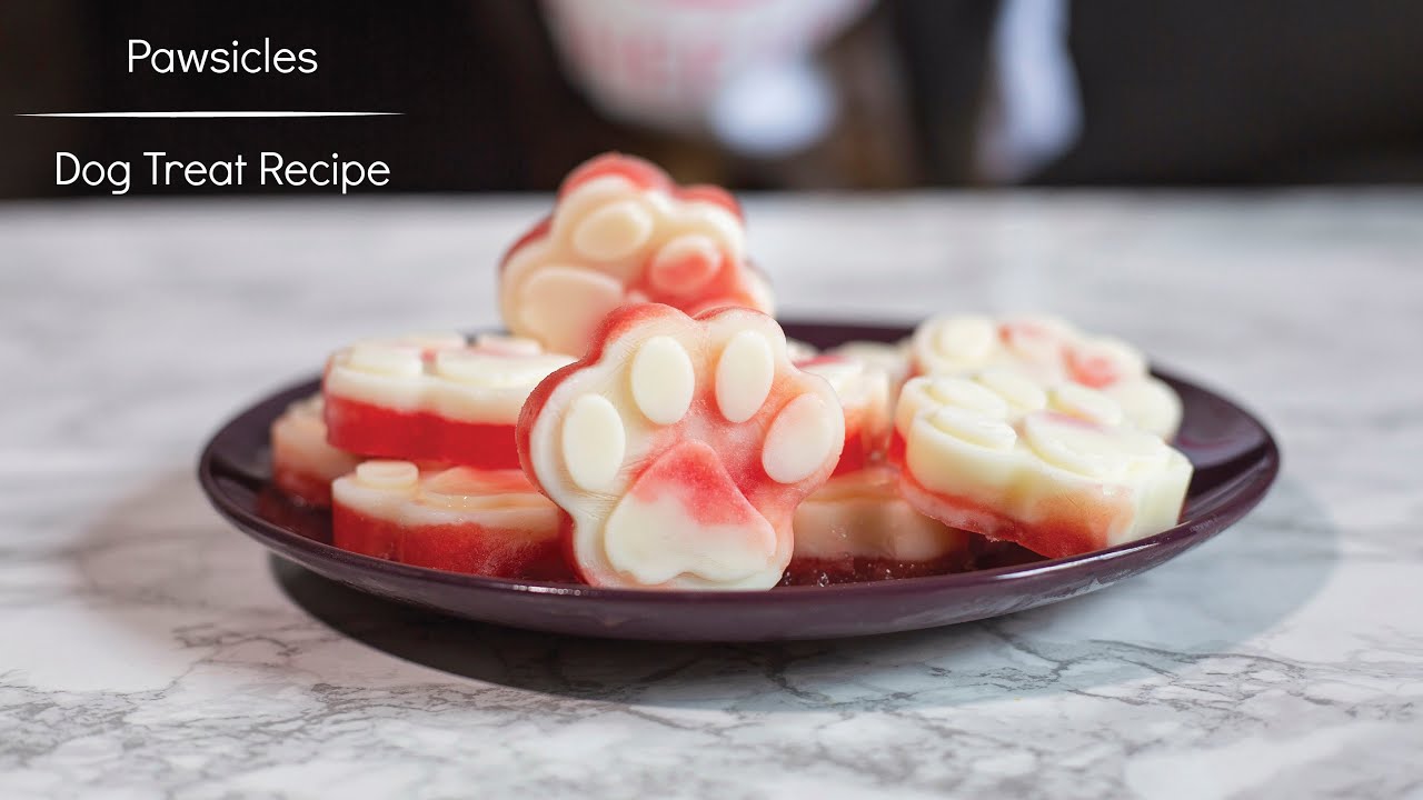Pawsicles | Dog Treat Recipe - YouTube