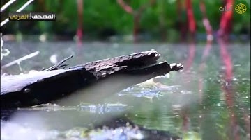 المصحف المرئي - ياسر الدوسري - ماتيسر من سورة الأنفال