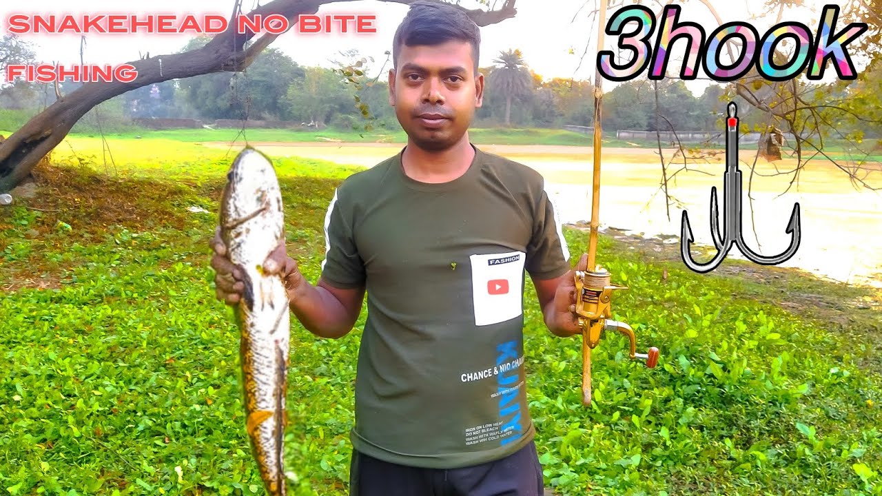 Fishing videos Snakehead 3hook monster Fishing Jharkhand 