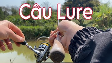Câu Lure Cá Rô Phi Ao Ngày Nắng Đẹp, Kết Quả Bất Ngờ, Lure fishing for Tilapia Pond - Hạnh Fishing