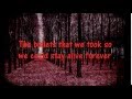 SayWeCanFly - Between The Roses (LYRICS)