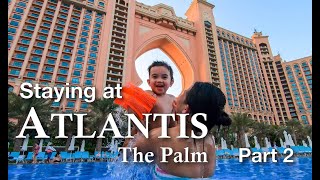 ATLANTIS, The Palm: Sea Lion Point, Dolphin Bay, & Aquaventure (Part 2)
