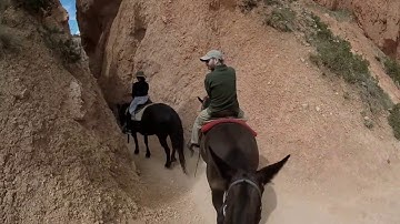 Horseback riding in Bryce Canyon National Park