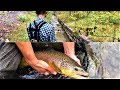 BIG 24 INCH WILD BROWN TROUT OUT OF A DITCH??