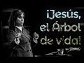 ¡Jesús, el Árbol de vida! - Natalia Nieto - 29 Diciembre 2013