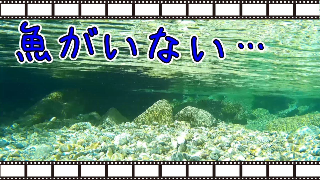 こんなに綺麗な川なのに 魚がいない 原因は だった 水中映像 ハンモック キャンプ Youtube