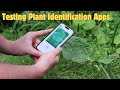 How accurate are plant identification apps