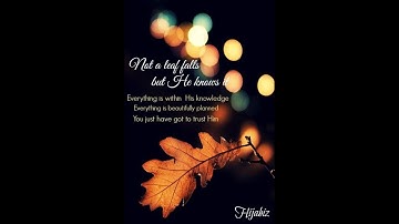 سورة الفاتحة I تلاوة عذبة مؤثرة جدا بصوت الشيخ أبوبكر مومني 25 رمضان 1439 هـ