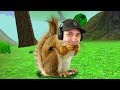 I'm a squirrel... | Squirrel Simulator