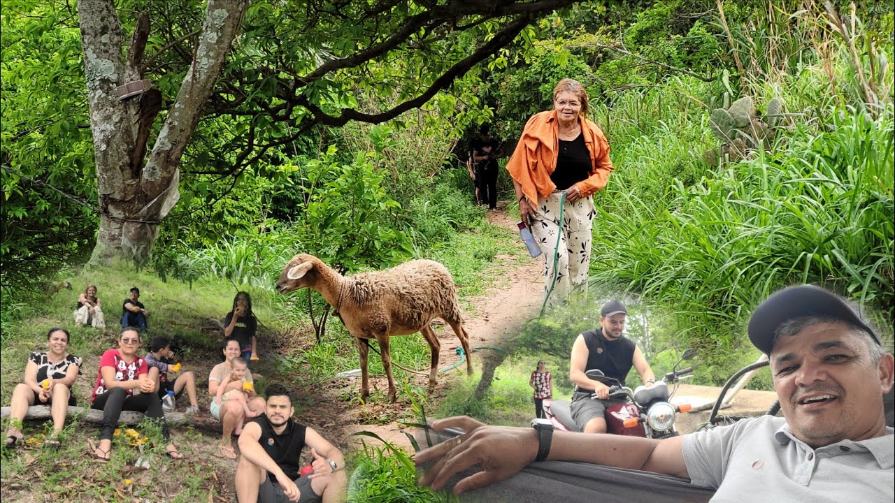 OLHA ONDE FOMOS DESSA VEZ 