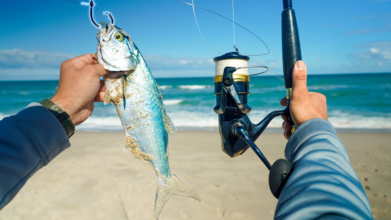 Casting BIG BAITS from Beach (We weren't prepared) 