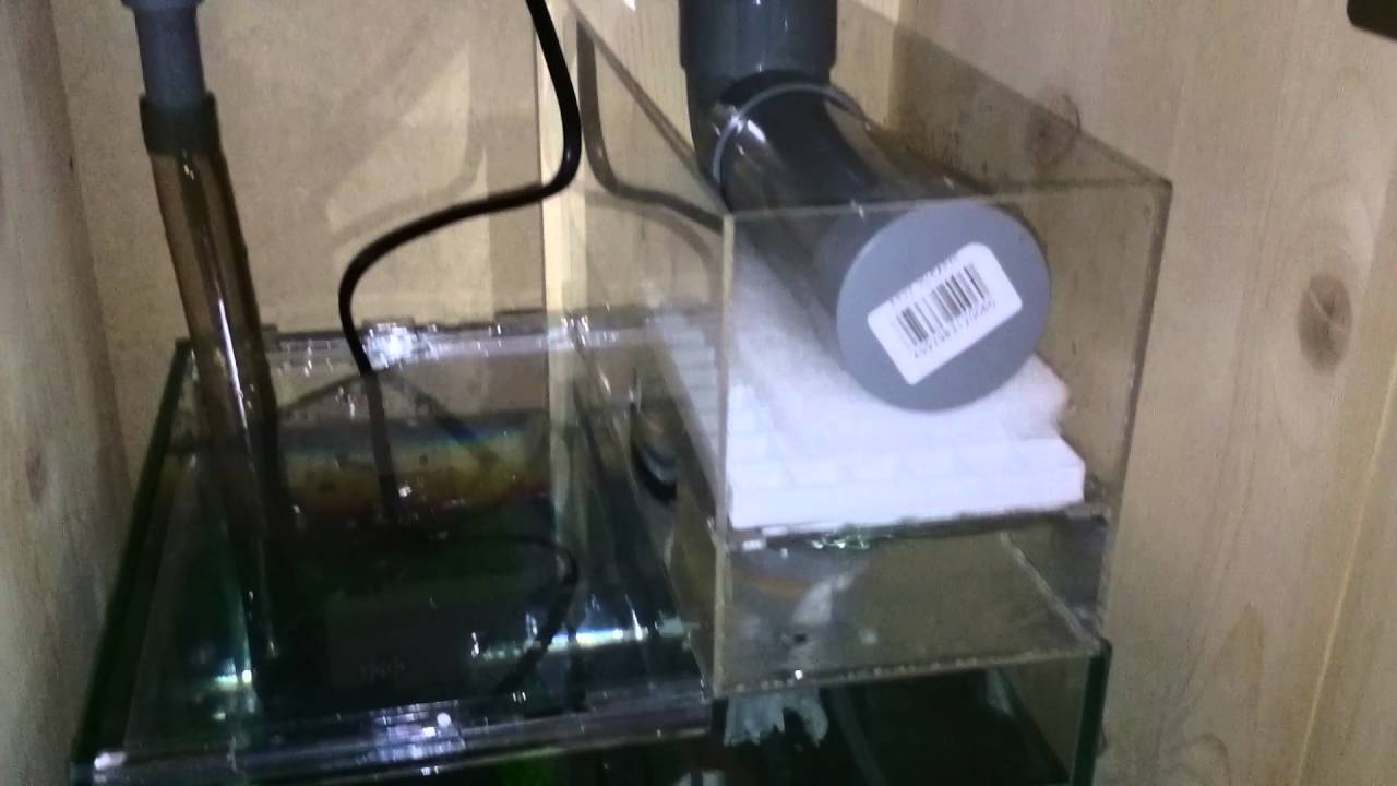 シャワーパイプの消音効果とof水槽の消音対策 30cm水槽の海水魚飼育