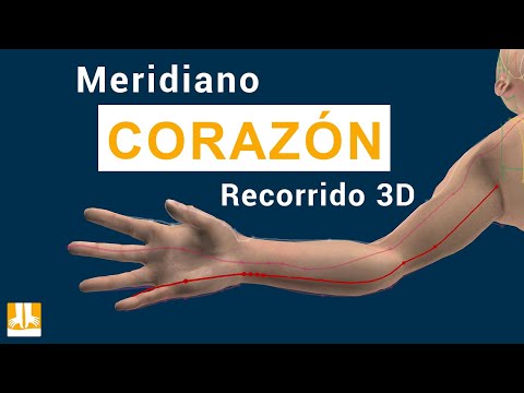 El meridiano del Corazón - Recorrido 3D punto a punto
