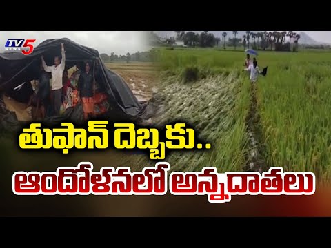ఆందోళనలో అన్నదాతలు  Montha Toofan Effect In Vizianagaram District | AP Toofan Updates  | TV5 News - TV5NEWS