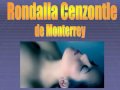 RONDALLA CENZONTLE DE MONTERREY -
