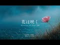 花は咲く（オーケストラver）／岩井俊二, 菅野よう子【東日本大震災 復興支援ソング】