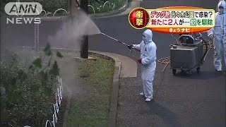 デング熱　男女3人は代々木公園の蚊から感染か(14/08/28)