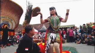 SOLAH PEMBARONG MUDA DADAK MERAK REOG PONOROGO HARIMAU TENGGARA #reog #reogponorogo #solah