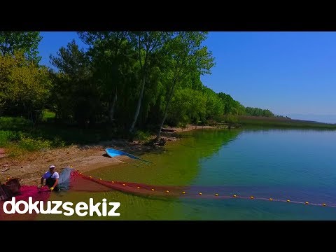 Bülent Gümüş - Gülizar (Lyric Video)(Akustik)