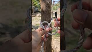 This 5 Rope Trick Can Save Millions of Lives