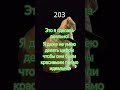 скоро будет мерч на другом канале