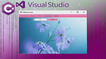 Microsoft Visual Studio C#. Авторизация с двумя вариантами входа.