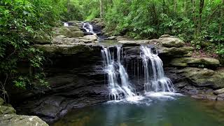 🌬️ Waterfall Sounds & Wind | 12 Hour Live Stream | Relaxing Nature