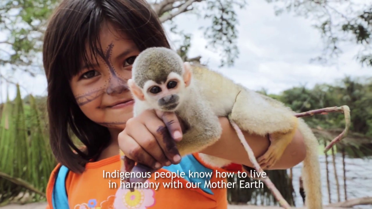 Twenty Years of Defending the Amazon.