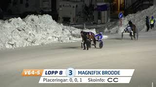 Vidéo de la course PMU PRIX JANUARISPRINTERN - FOR ALLA VARMBLOD