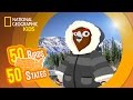 Alaska Geography and Wildlife Trivia