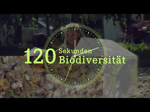 120 Sekunden Biodiversität: Der Newsflash von Mission B, Januar 2023