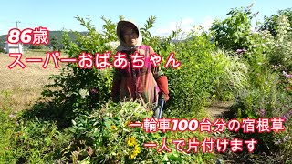 70歳になったばあちゃん カメラデビューは70歳 おばあちゃんの笑撃自撮りが話題 | 週刊女性PRIME