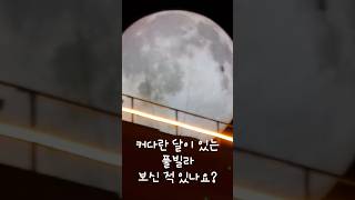달이있는 풀빌라~