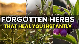 20 Forgotten Healing Plants People Used Before Modern Medicine